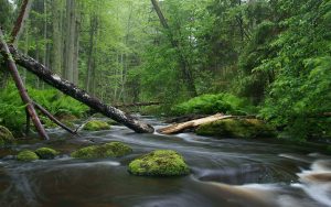 Boulder massage restorative massage in boulder