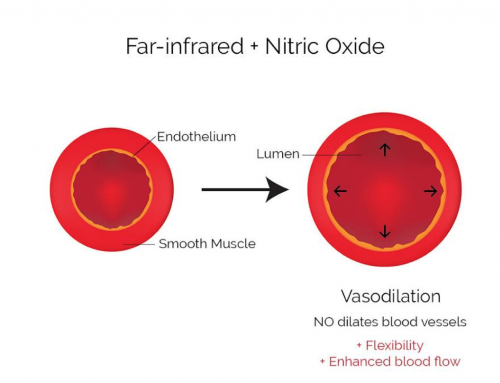 Far-infrared and nitrous oxide expand blood vessels
