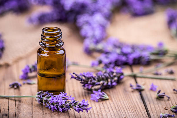 lavender essential oil for massage therapy in St Pete, Florida